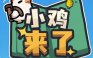 小鸡来了