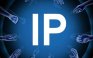 IP